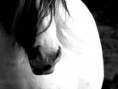 /album/fenykepgaleria/a758-jpg/